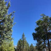 Review photo of Hurkey Creek Park by Lindsey W., September 29, 2017