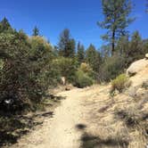 Review photo of Hurkey Creek Park by Lindsey W., September 29, 2017