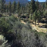 Review photo of Hurkey Creek Park by Lindsey W., September 29, 2017