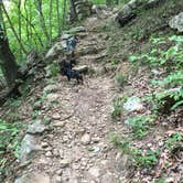 Review photo of Monte Sano State Park Campground by Shelly S., June 30, 2016