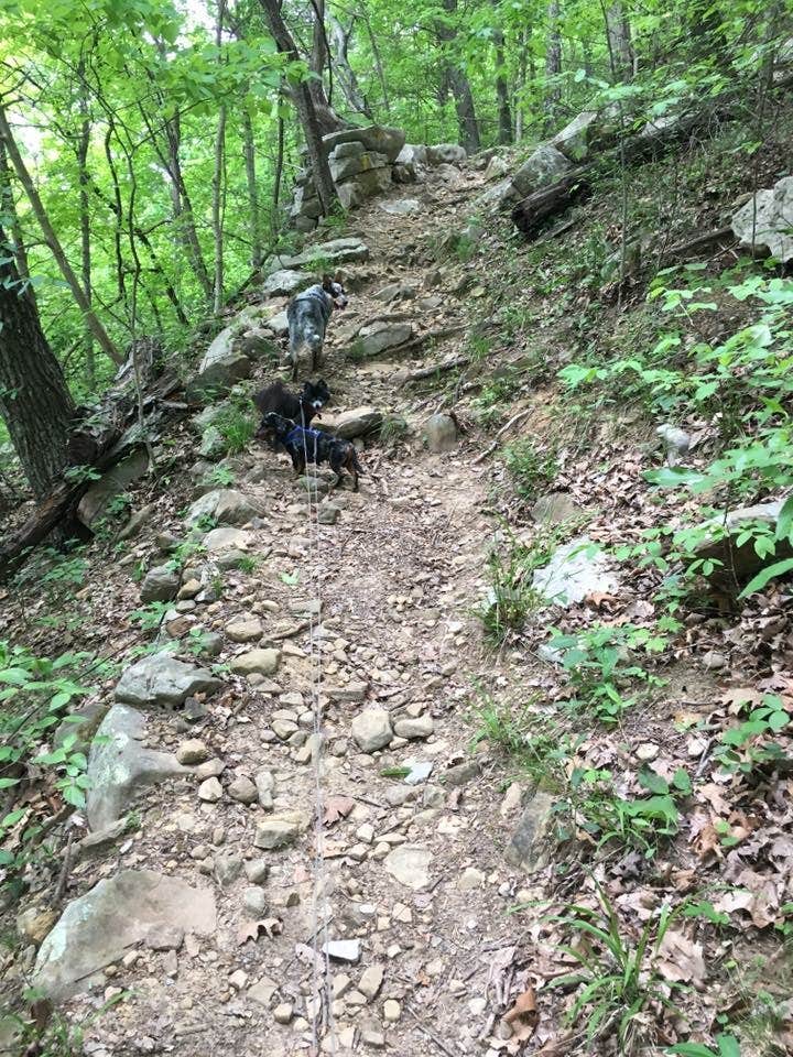 Camper submitted image from Monte Sano State Park Campground - 2