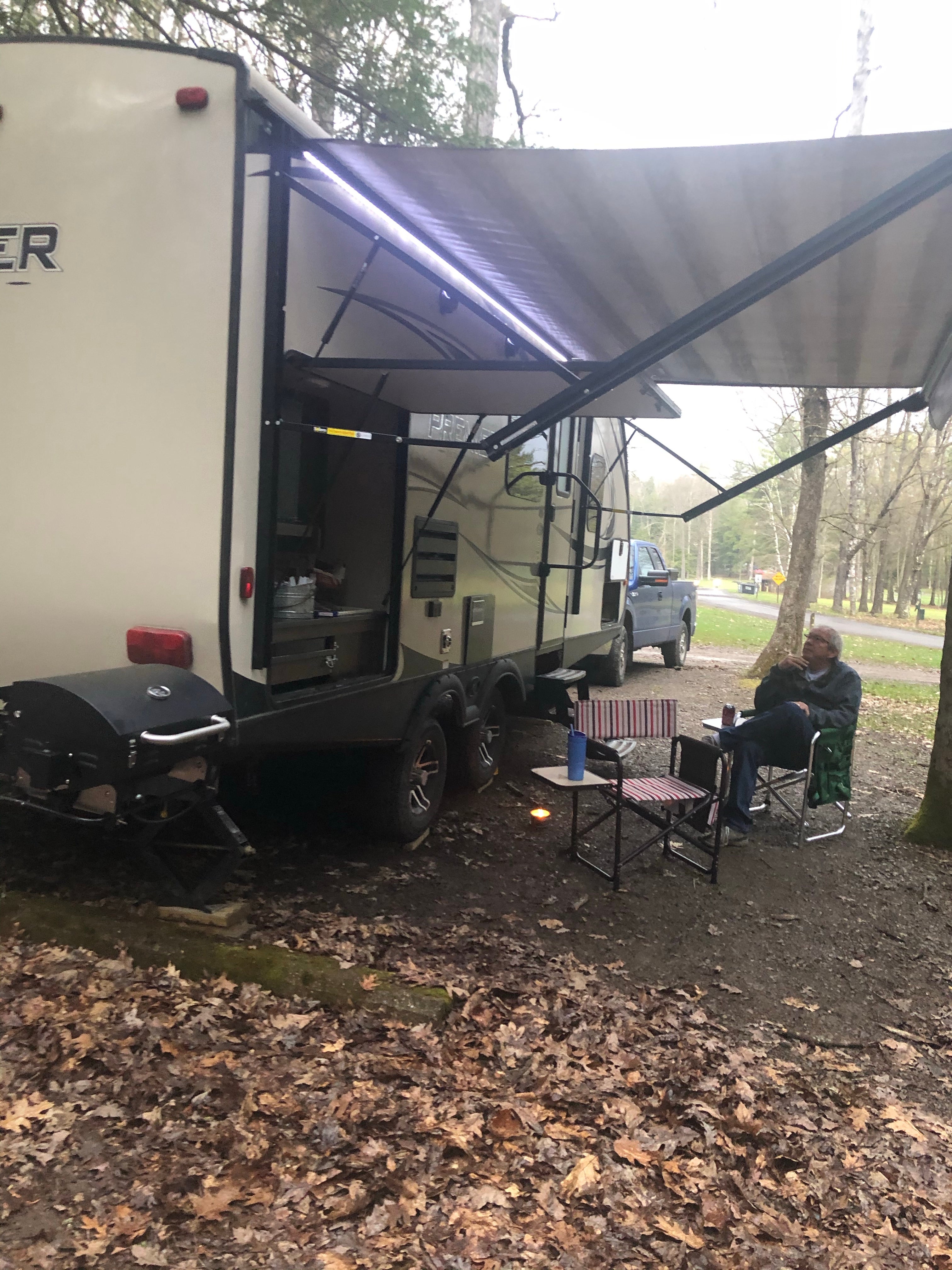 Camper submitted image from Cook Forest State Park Campground - 4
