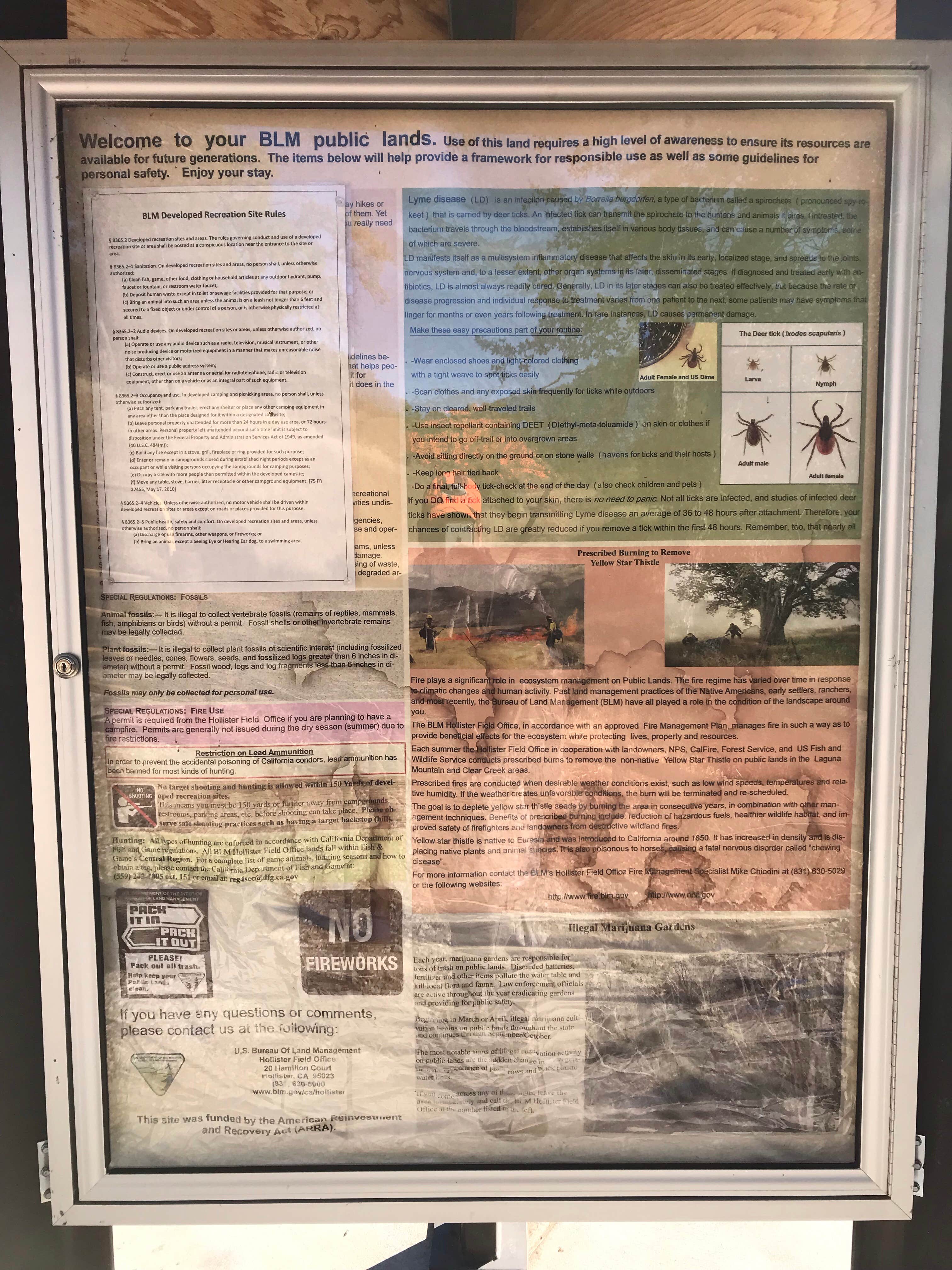 Camper-submitted photo at Laguna Mountain Campground near Pinnacles, CA