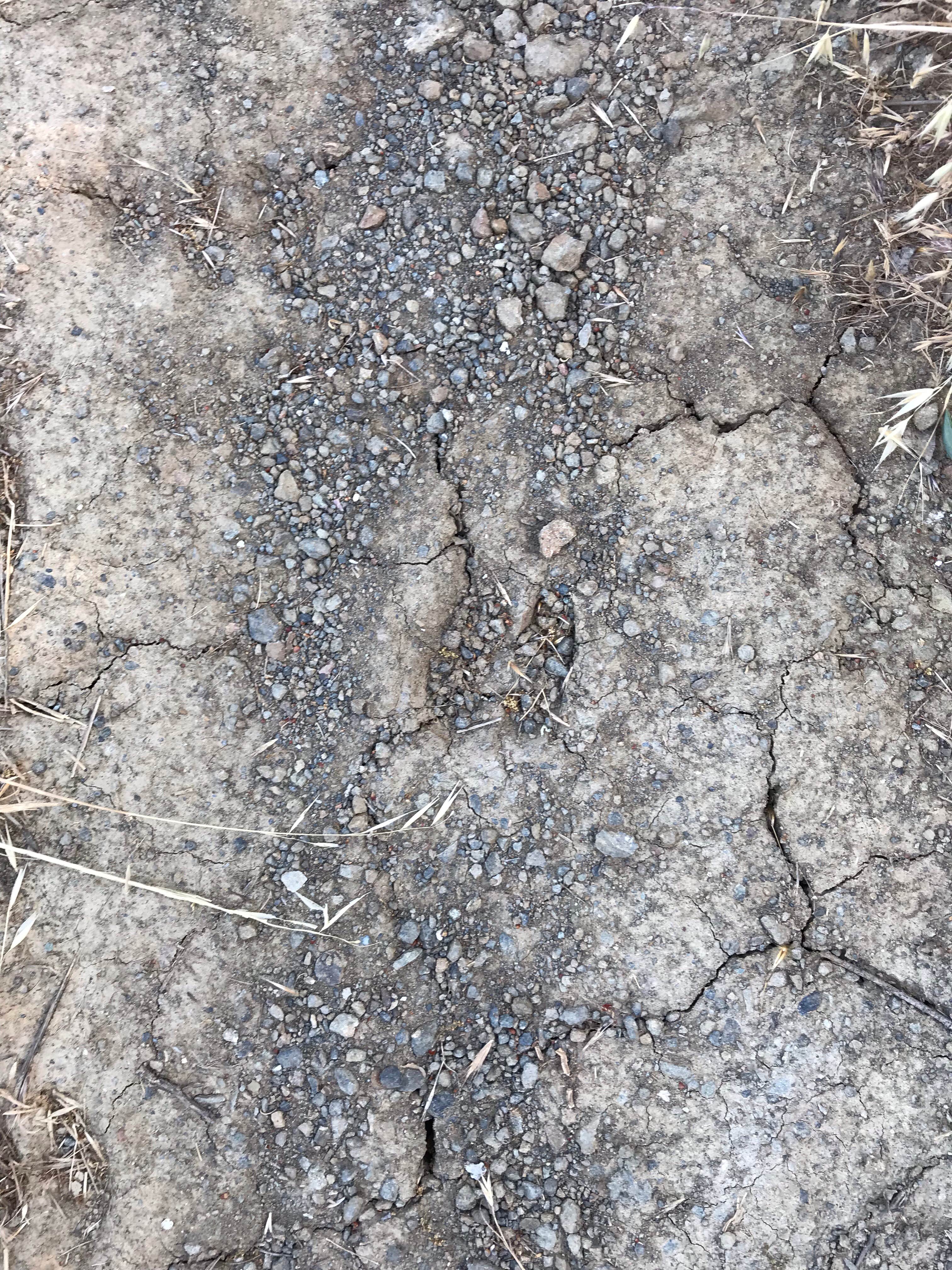 Camper-submitted photo at Laguna Mountain Campground near Pinnacles, CA