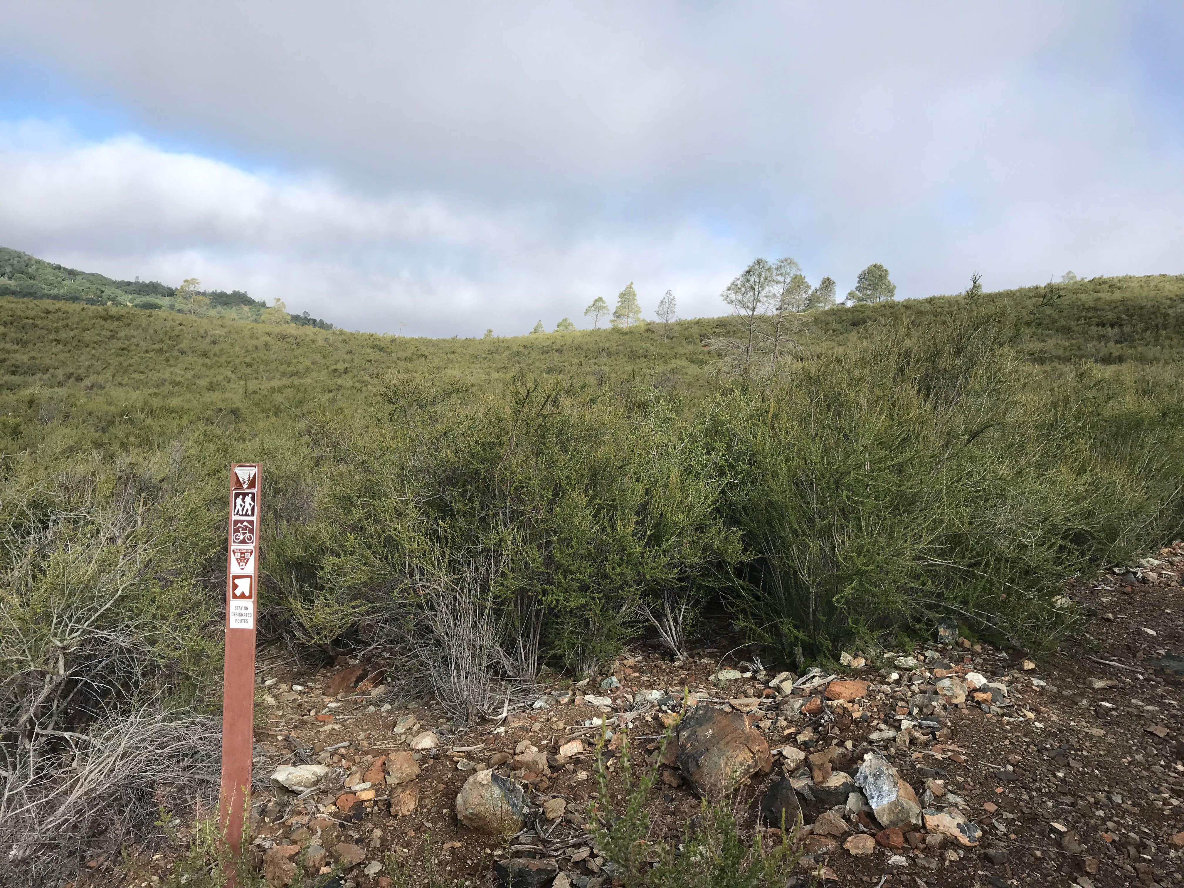 Camper-submitted photo at Laguna Mountain Campground near Pinnacles, CA