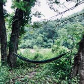 Review photo of Buffalo Point — Buffalo National River by Lacee G., July 16, 2019