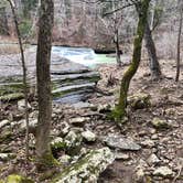 Review photo of Haw Creek Falls Camping by Lacee G., May 21, 2020