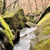 Review photo of Haw Creek Falls Camping by Lacee G., May 21, 2020