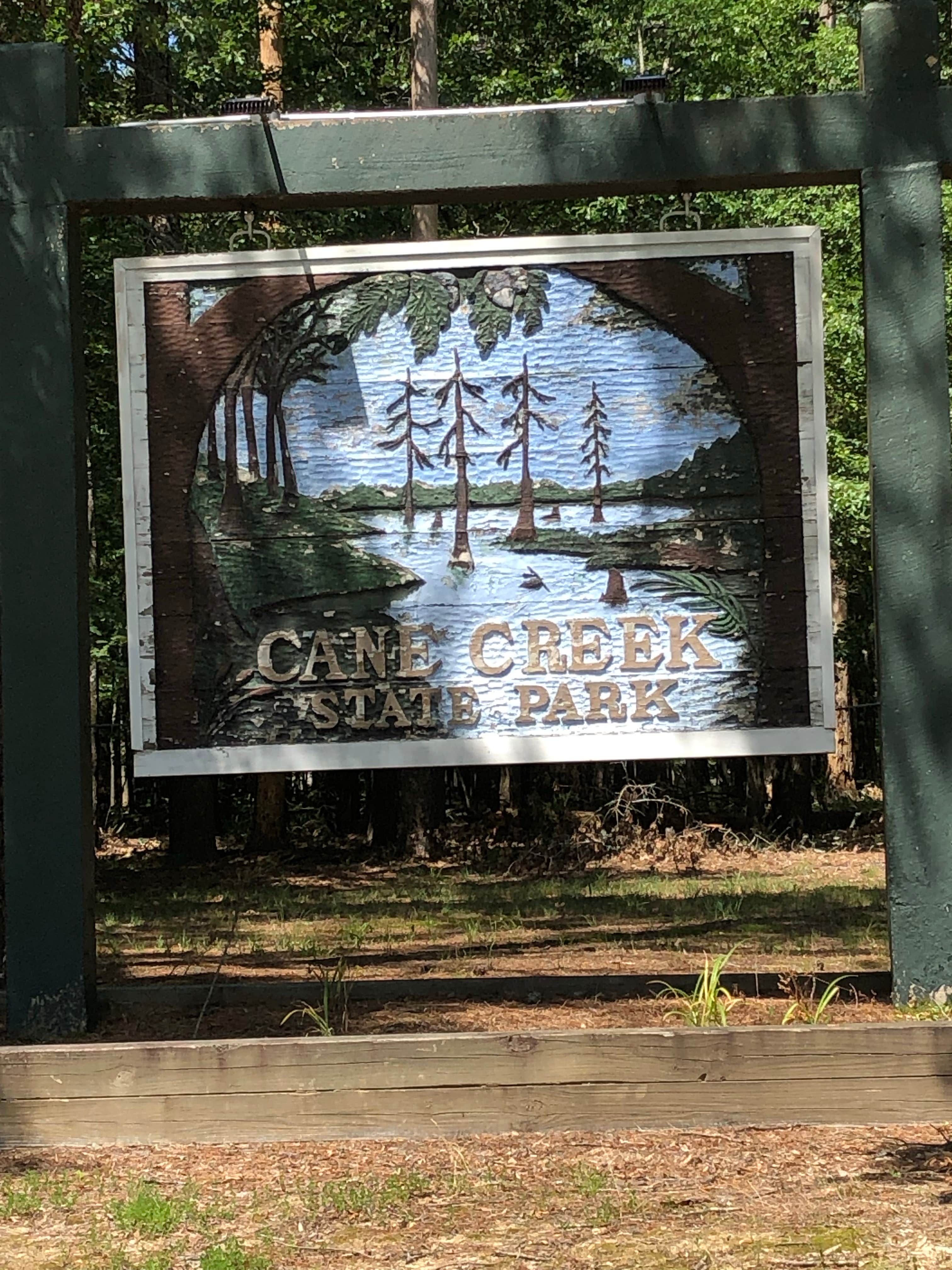 Camper submitted image from Cane Creek State Park Campground - 5