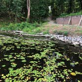 Review photo of Cane Creek State Park Campground by Lacee G., July 16, 2019