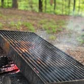 Review photo of Cane Creek State Park Campground by Lacee G., July 16, 2019