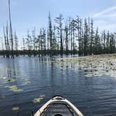 Review photo of Cane Creek State Park Campground by Lacee G., July 16, 2019