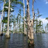 Review photo of Cane Creek State Park Campground by Lacee G., July 16, 2019