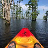 Review photo of Cane Creek State Park Campground by Lacee G., July 16, 2019