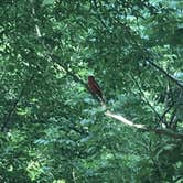 Review photo of Cane Creek State Park Campground by Lacee G., July 16, 2019