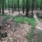 Review photo of Cane Creek State Park Campground by Lacee G., July 16, 2019