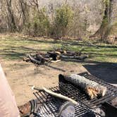 Review photo of Devil's Den State Park Campground by Lacee G., July 16, 2019