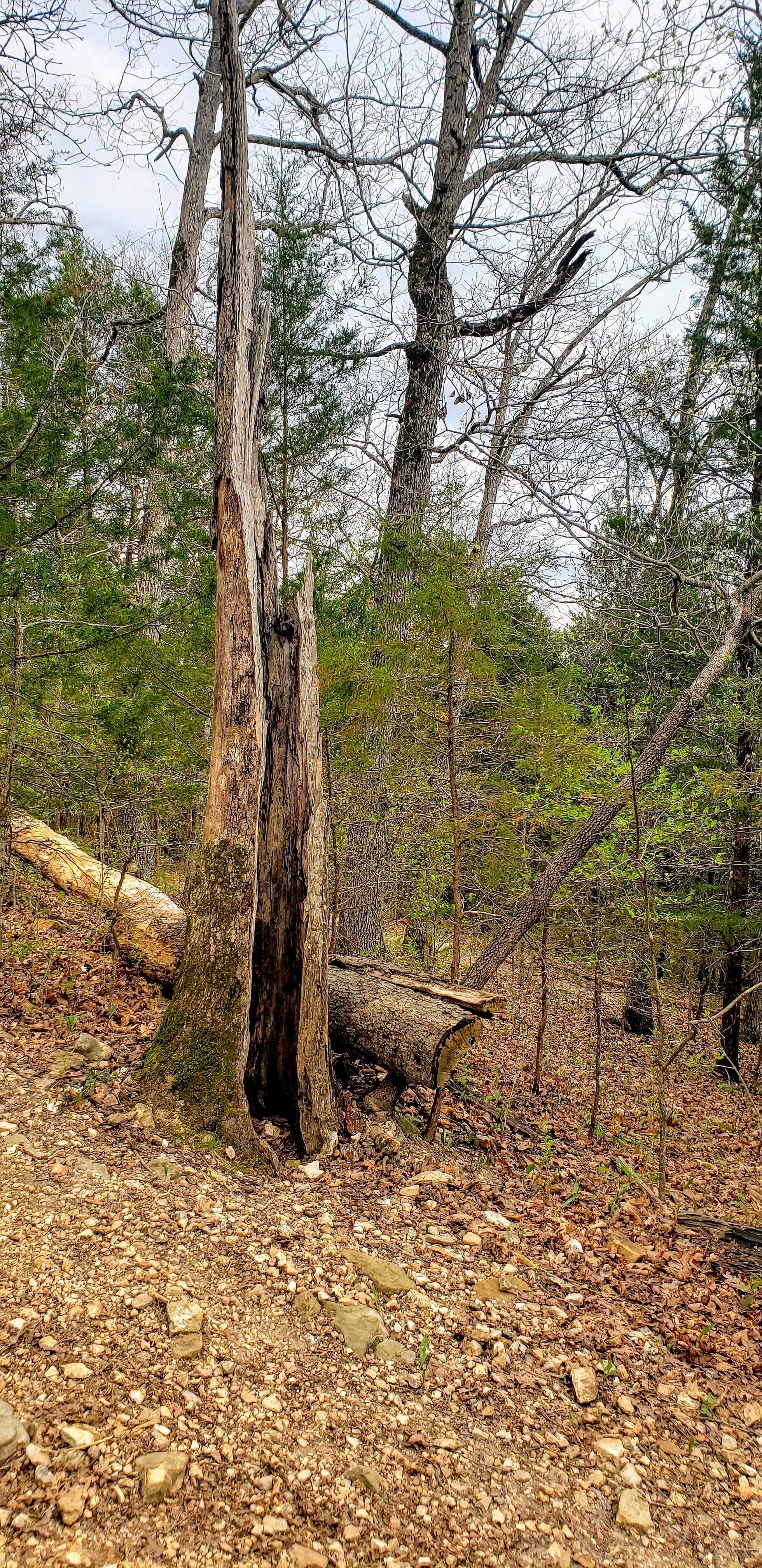 Camper-submitted photo at Busiek near Rockaway Beach, MO