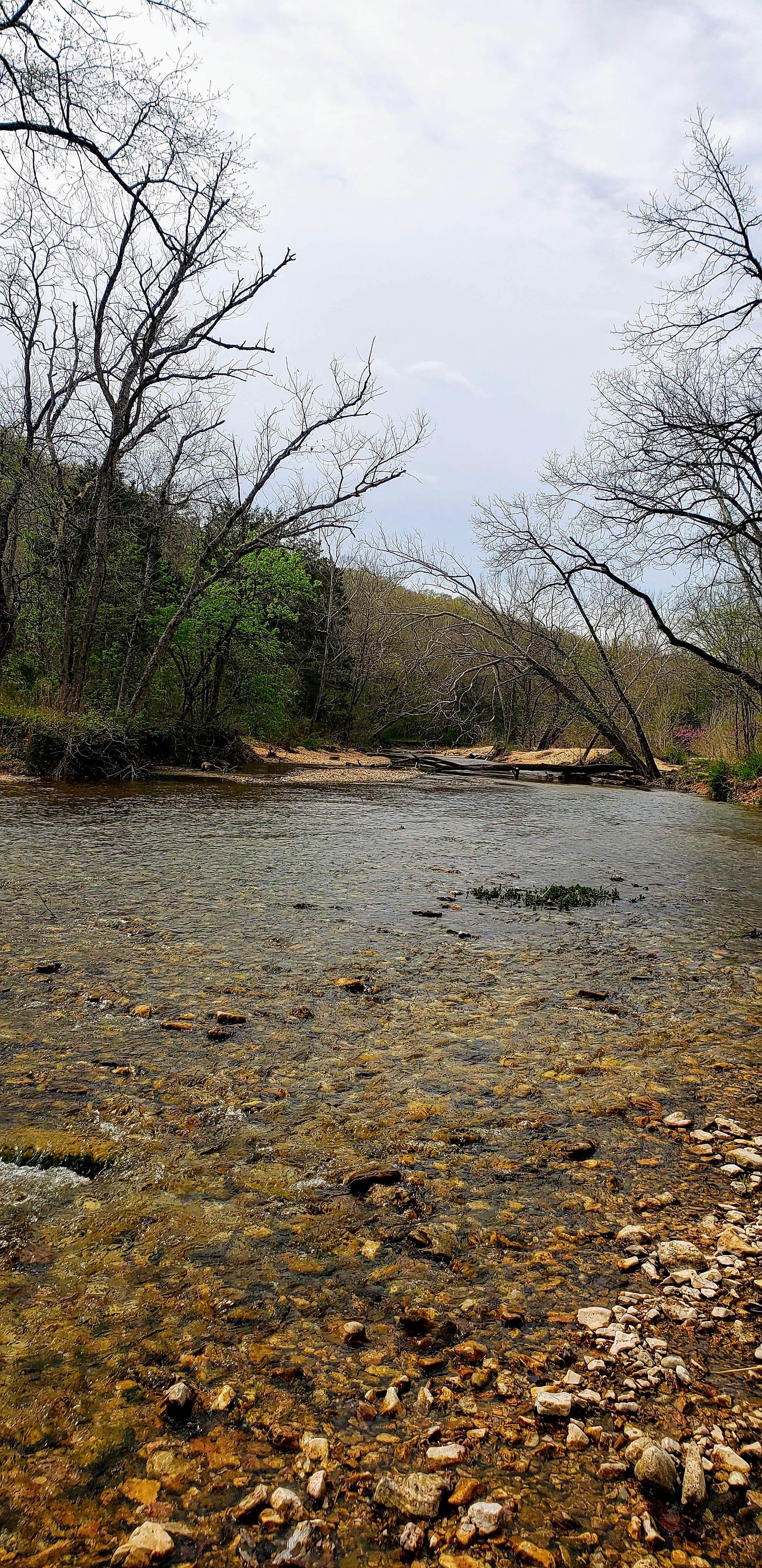 Camper-submitted photo at Busiek near Rockaway Beach, MO