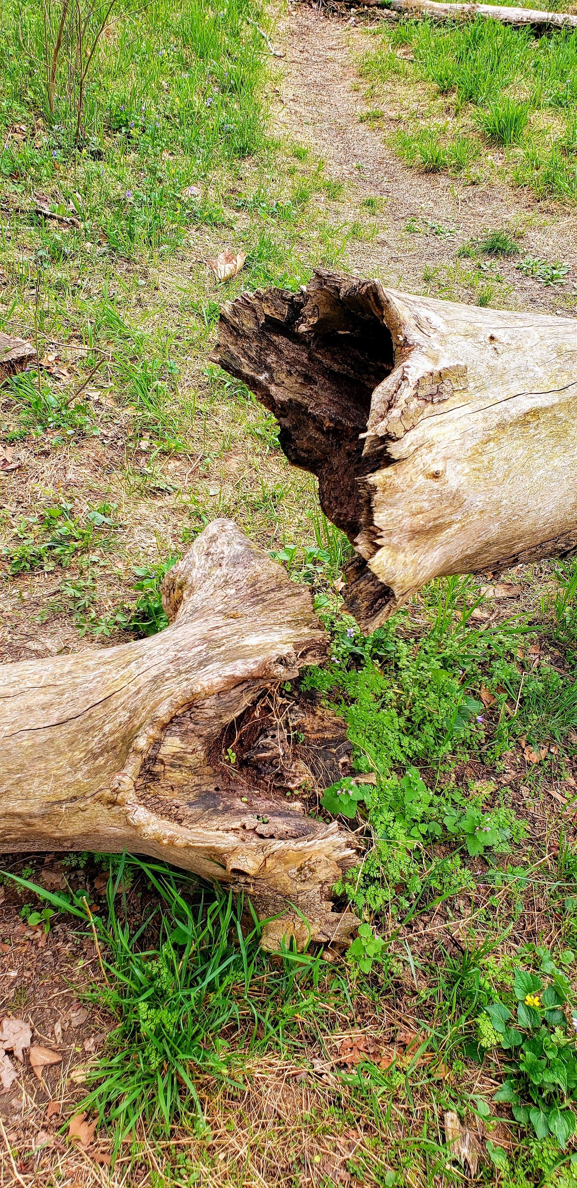 Camper-submitted photo at Busiek near Rockaway Beach, MO
