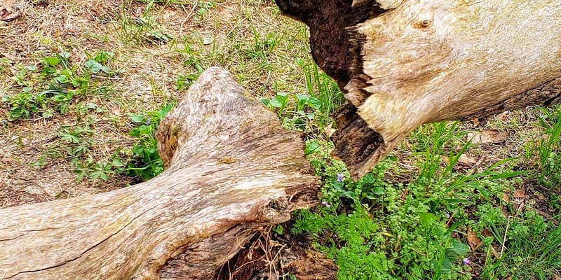 Camper submitted image from Busiek