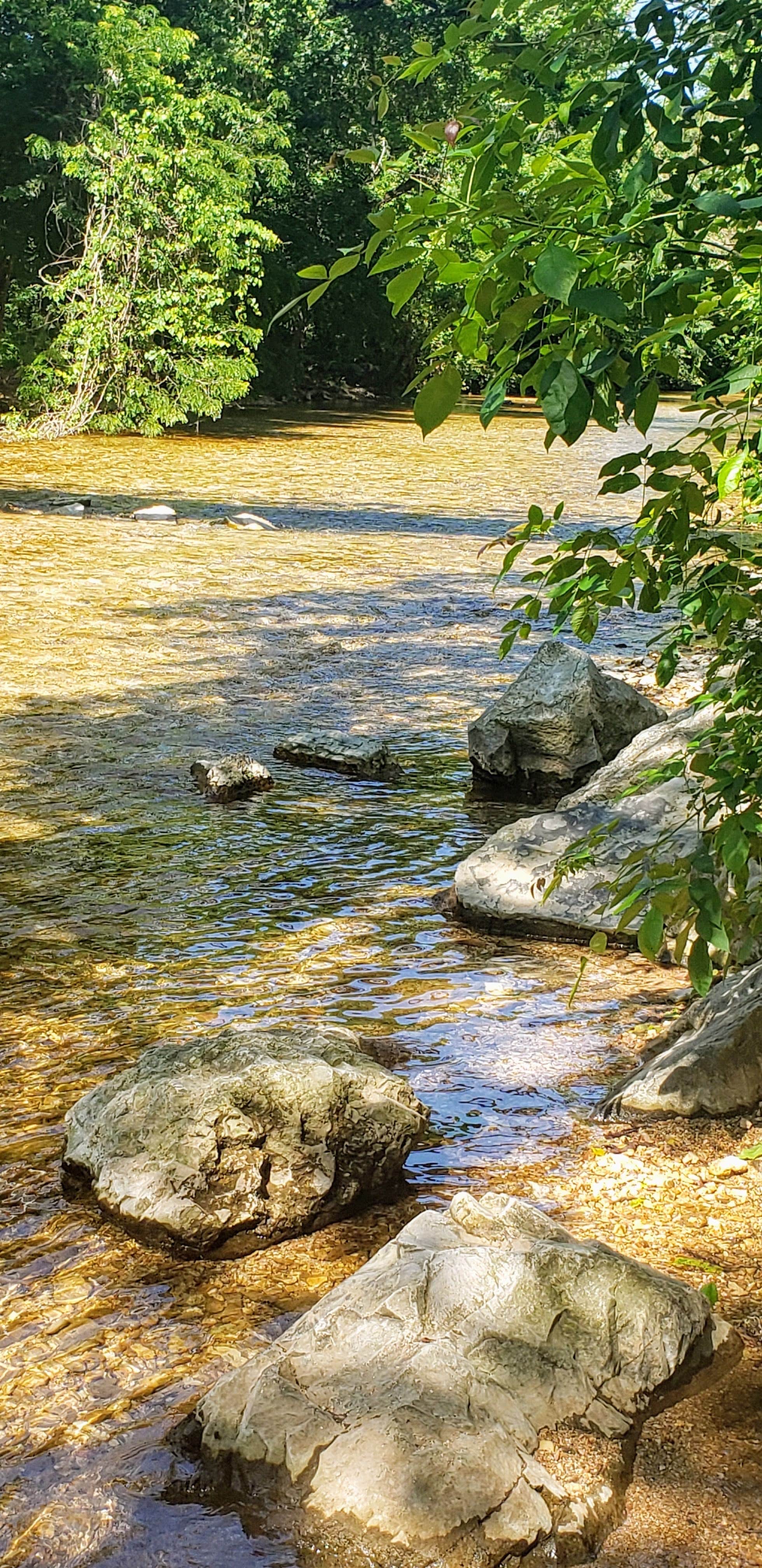 Camper-submitted photo at Busiek near Rockaway Beach, MO