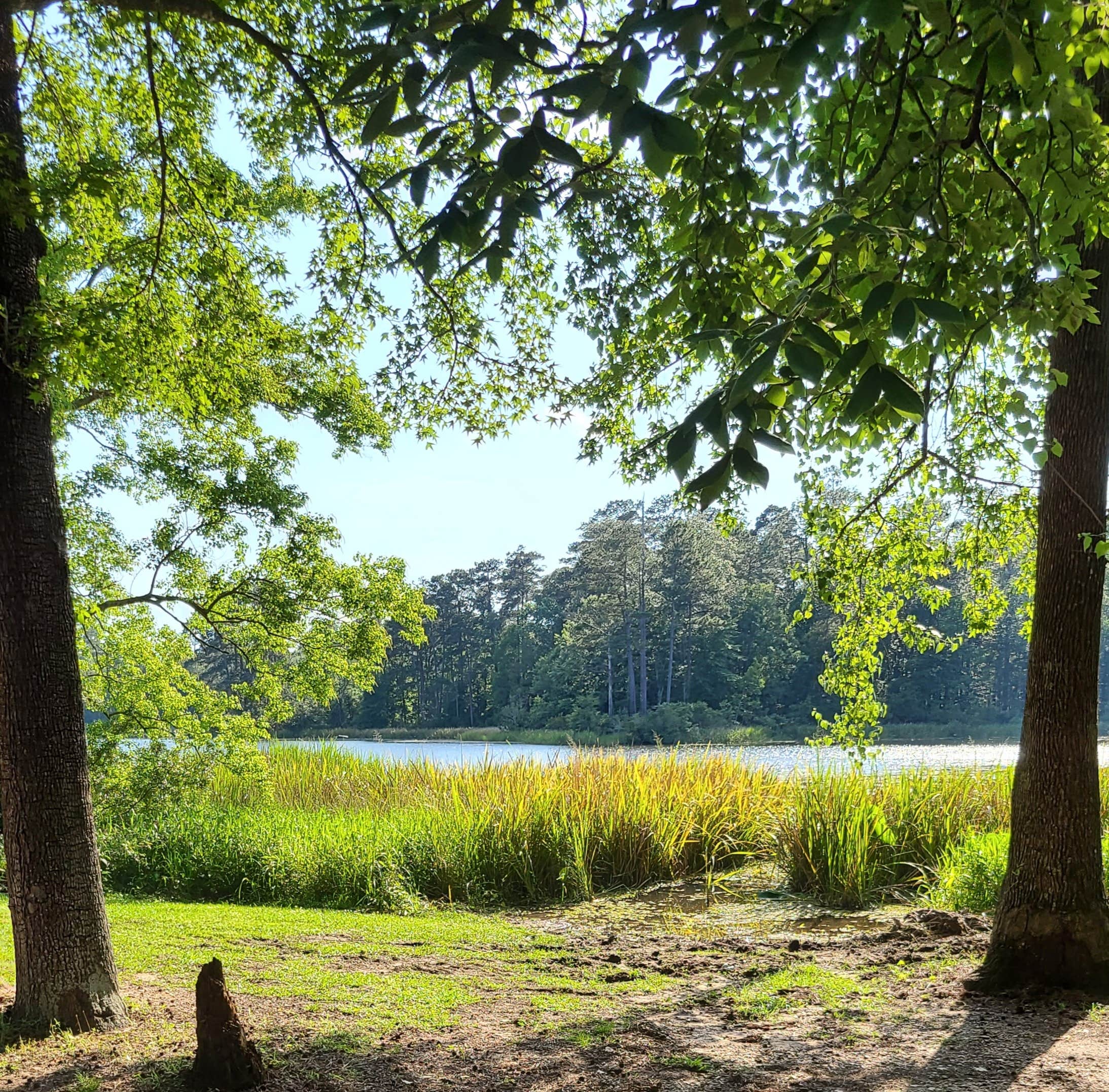 Camper-submitted photo at Indian Creek Recreation Area in Louisiana