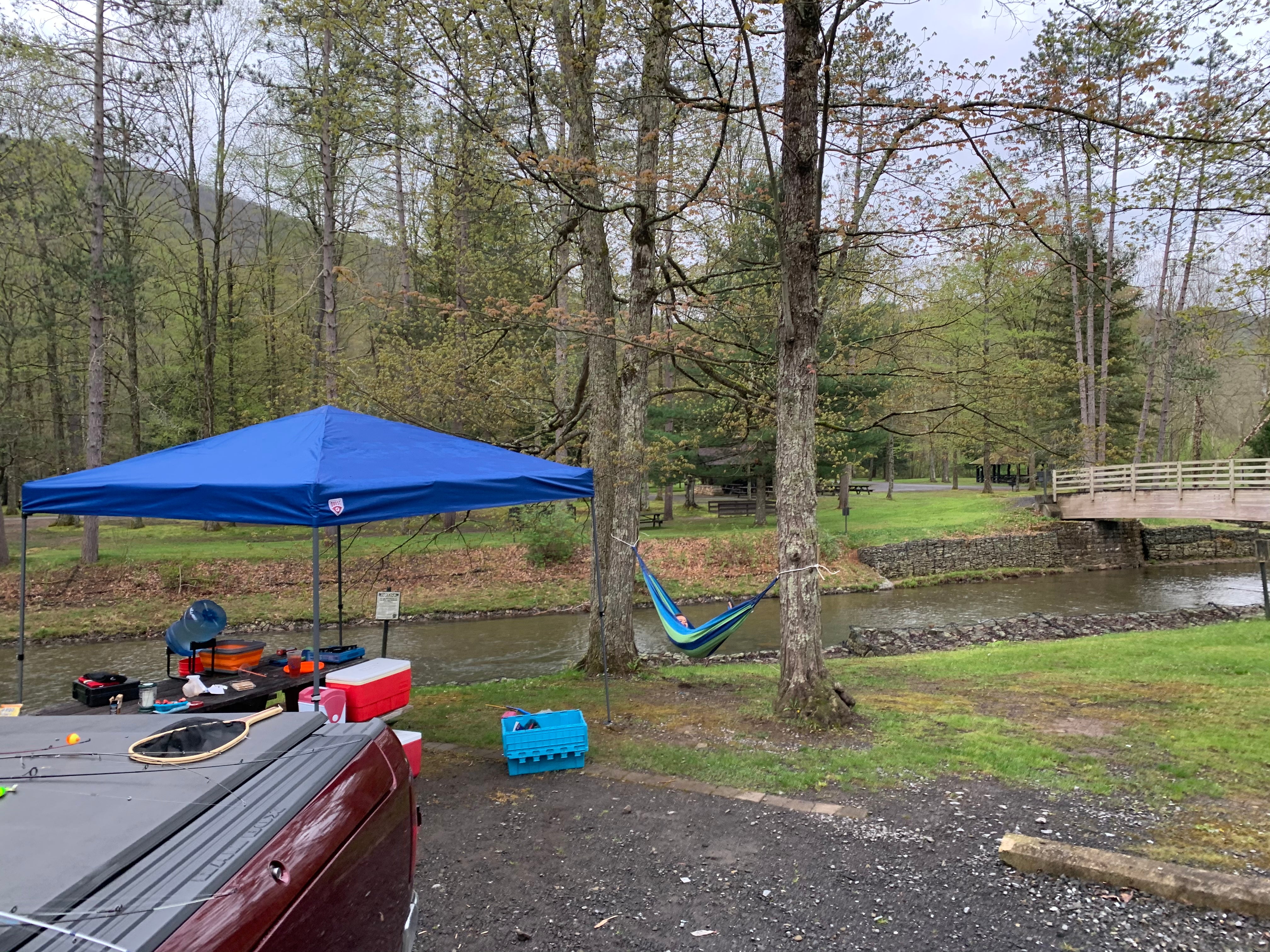 Camper submitted image from Ole Bull State Park Campground - 5