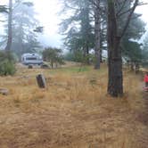 Review photo of New Brighton State Beach Campground by Eric J., May 22, 2020