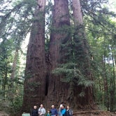 Review photo of Henry Cowell Redwoods State Park Campground by Eric J., May 22, 2020
