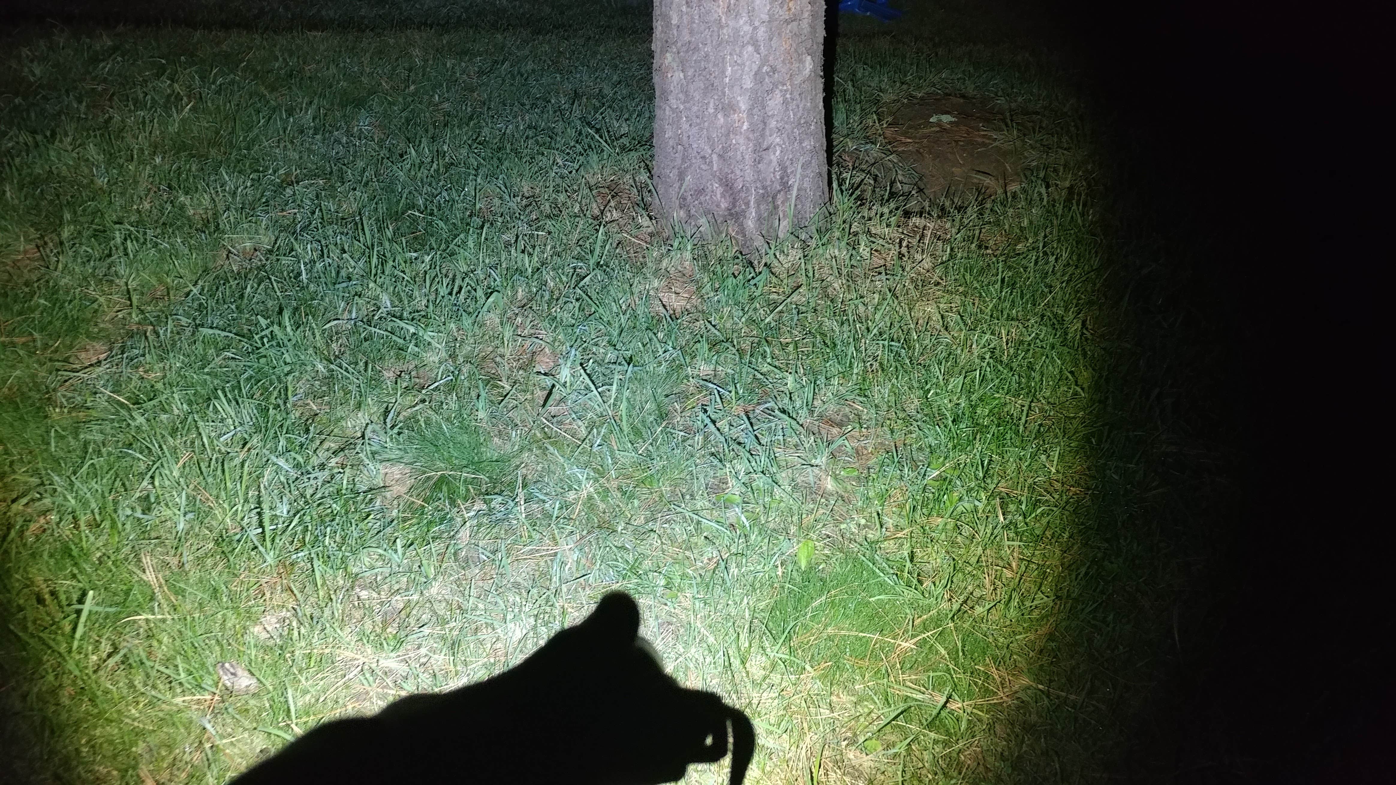 Camper-submitted photo at Sheridan/Big Horn Mountains KOA near Story, WY