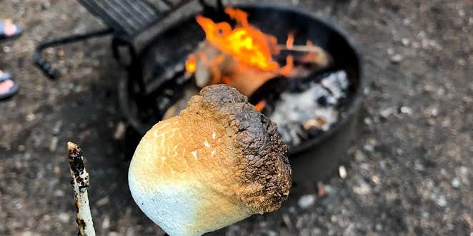 Camper submitted image from Chippy Park