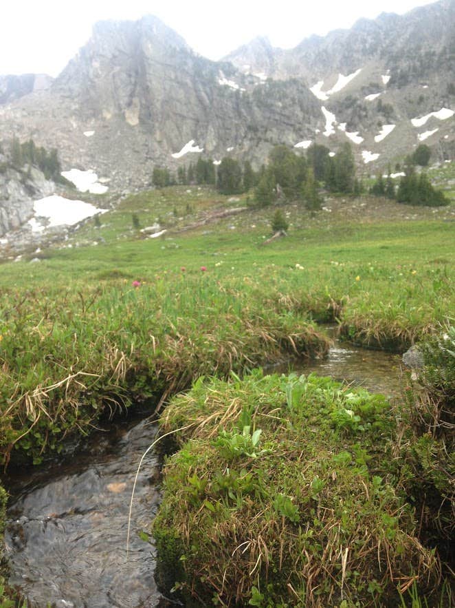 Camper submitted image from Gallatin Canyon, Hwy 191 & Big Sky - 2