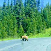 Review photo of Gallatin Canyon, Hwy 191 & Big Sky by Sarah N., May 22, 2020