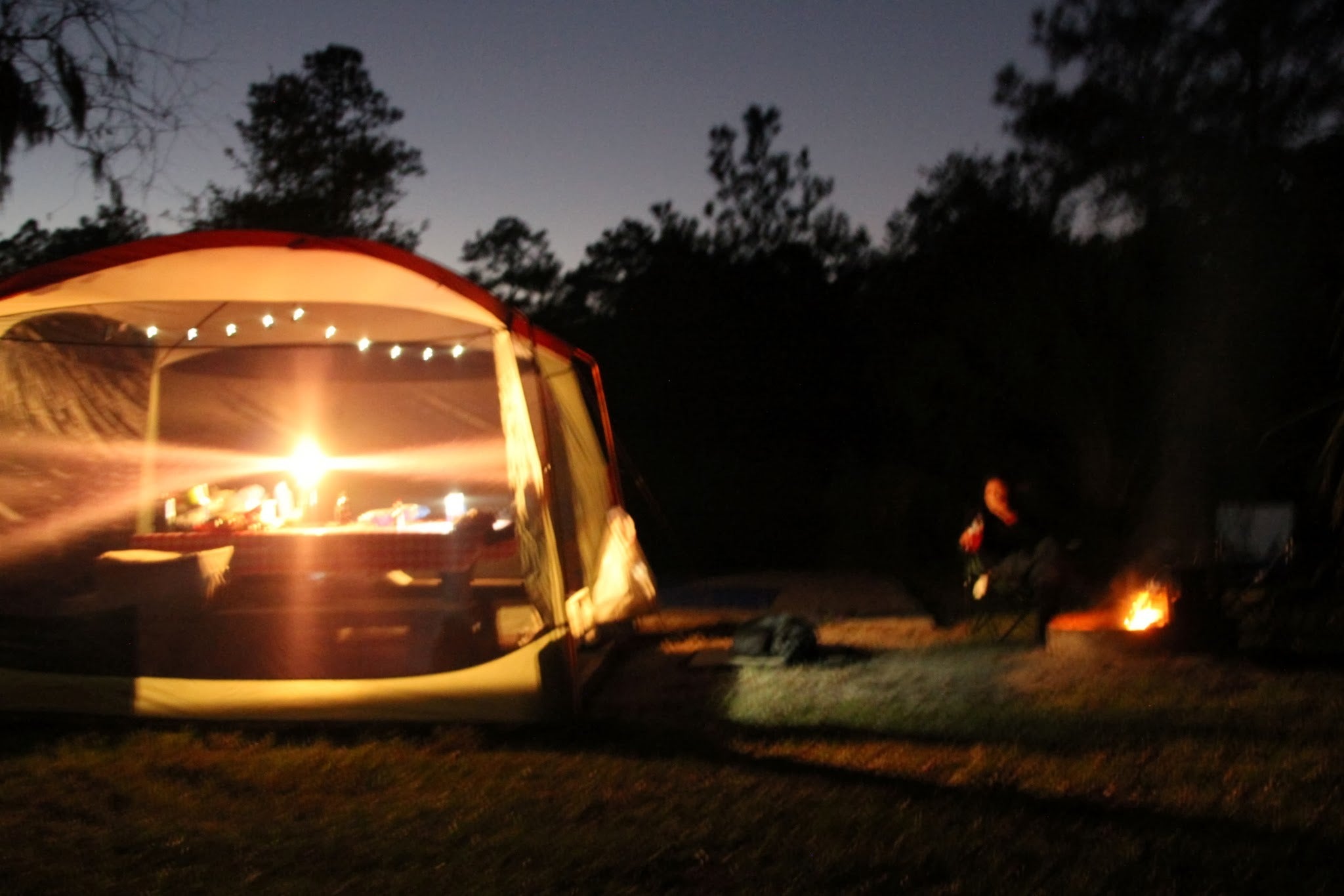 Camper submitted image from Skidaway Island State Park - 5