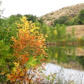 Review photo of Sheridan/Big Horn Mountains KOA by Kari T., September 30, 2017