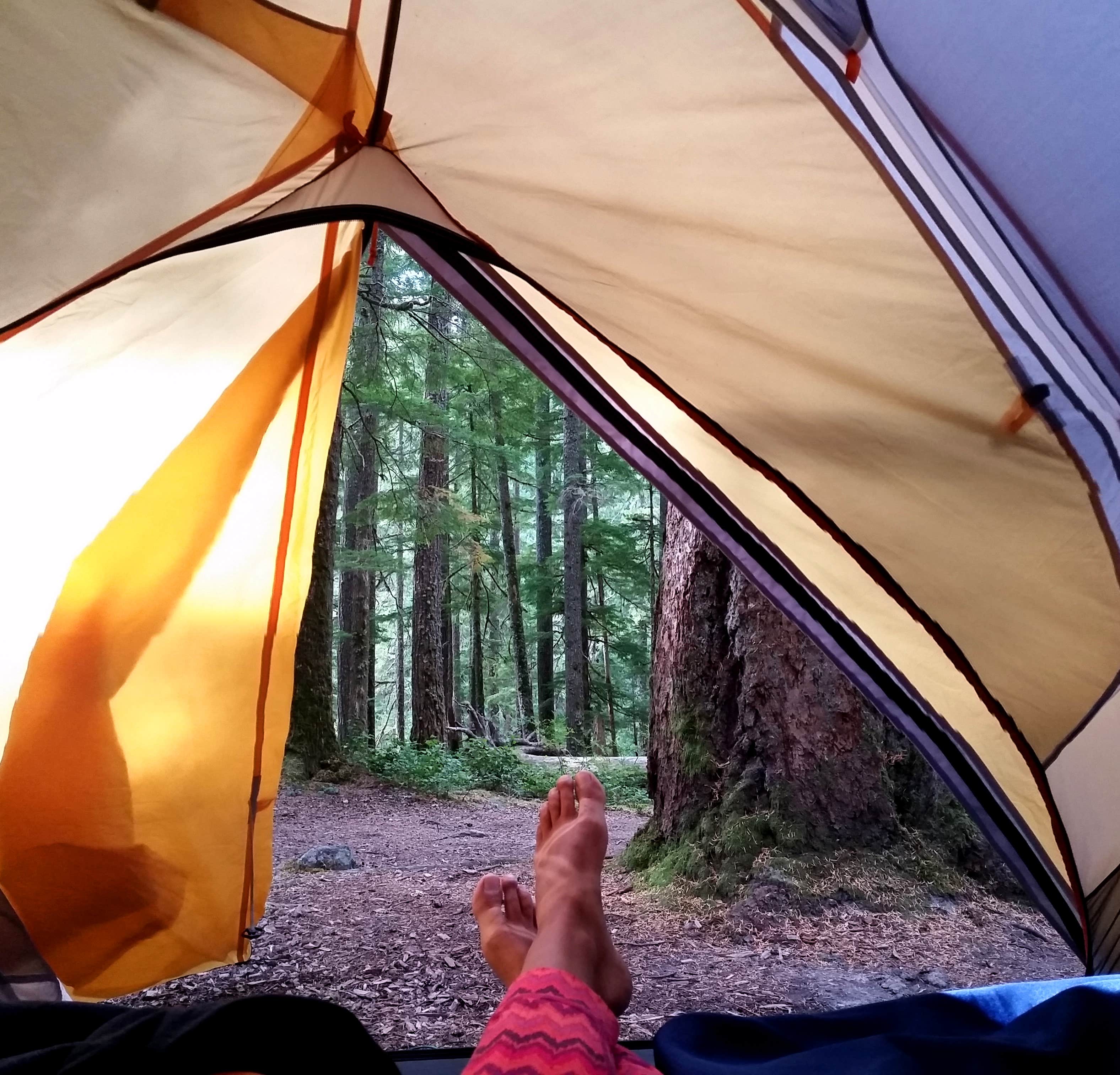 Camper submitted image from Ohanapecosh Campground — Mount Rainier National Park - 5