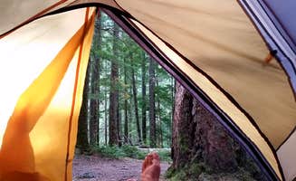 Jen G.'s photo at Ohanapecosh Campground — Mount Rainier National Park near Paradise, WA