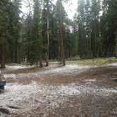 Review photo of East Portal Campground at Estes Park by Sarah Y., September 30, 2017