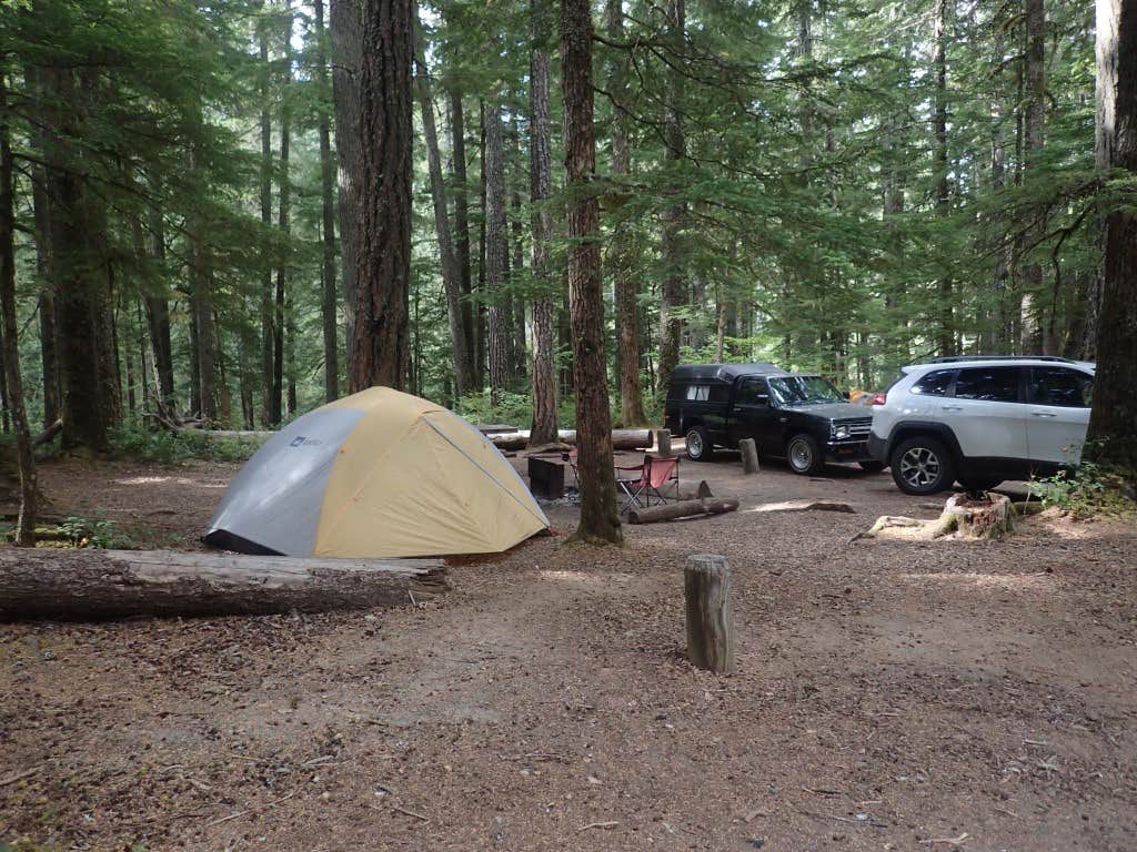Ohanapecosh campground on sale