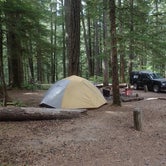 Review photo of Ohanapecosh Campground — Mount Rainier National Park by Jen G., June 30, 2016