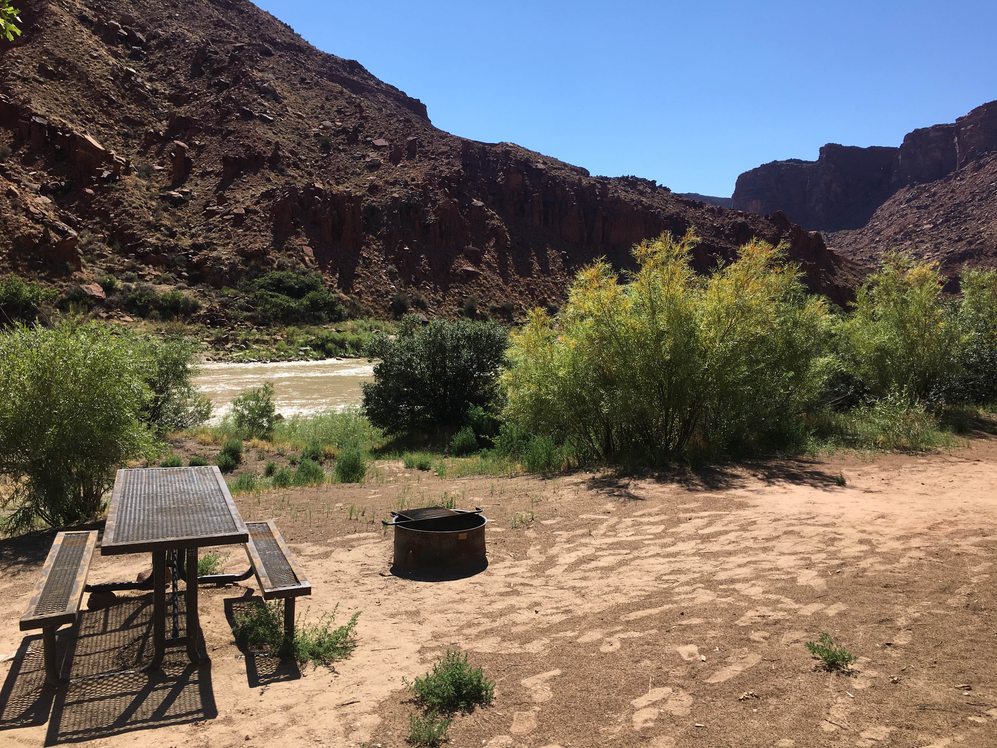 Camper submitted image from Big Bend Group Sites - 3