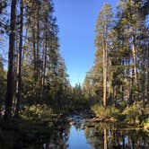 Review photo of Yosemite Creek — Yosemite National Park by Michael T., September 30, 2017