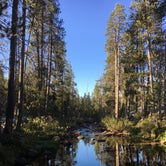 Review photo of Yosemite Creek — Yosemite National Park by Michael T., September 30, 2017