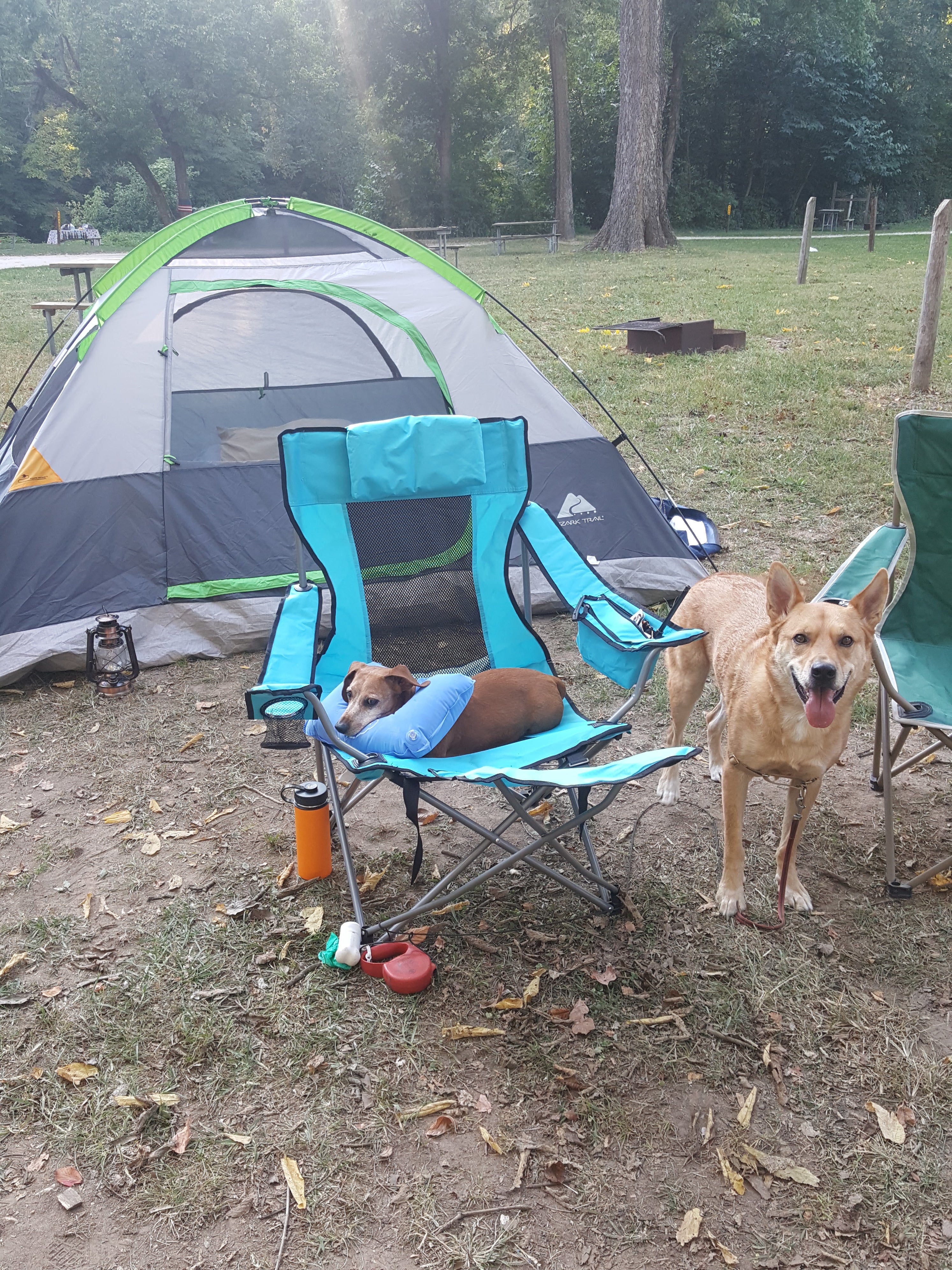 Camper submitted image from St. Louis West / Historic Route 66 KOA - 5