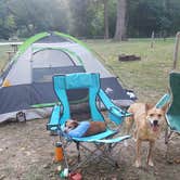 Review photo of St. Louis West / Historic Route 66 KOA by Lindsey R., September 30, 2017