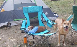 Lindsey R.'s photo at St. Louis West / Historic Route 66 KOA near Marthasville, MO