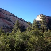 Review photo of Zion RV and Campground (Hi-Road) by David B., June 30, 2016