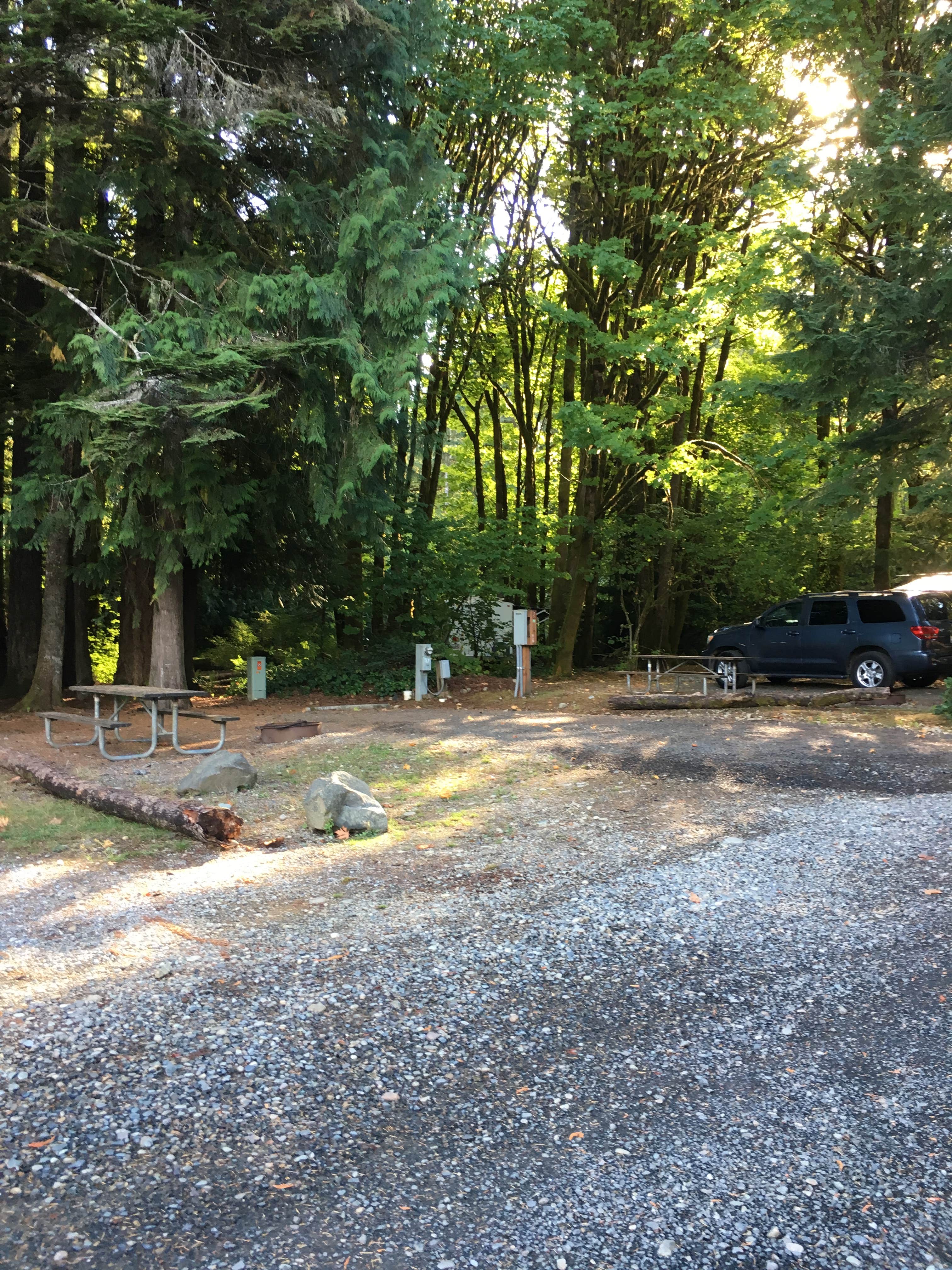 Camper submitted image from Potlatch State Park Campground - 2