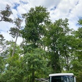 Review photo of Myrtle Beach State Park Campground by Zach H., May 22, 2020